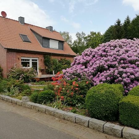 Ferienwohnung Bachmanns Ruh فيتزيندورف المظهر الخارجي الصورة