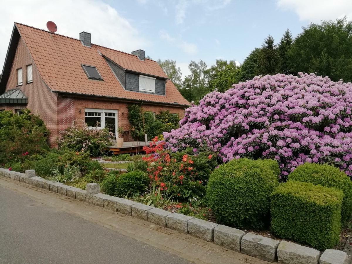 Ferienwohnung Bachmanns Ruh فيتزيندورف المظهر الخارجي الصورة